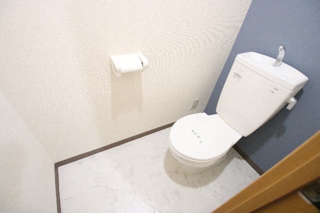 ハートフルマンションB&Aのトイレ写真