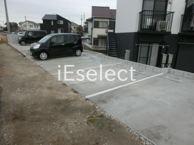 Rapa Mapleのその他写真