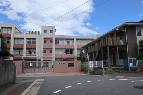 【八尾市弓削町のアパートの小学校】