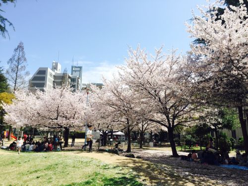 【プレサンス新町ウィズジョイの公園】