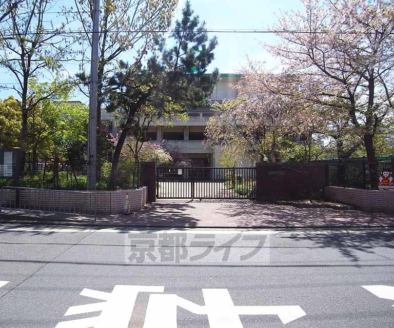 小学校　朱雀第三小学校（小学校）まで310m