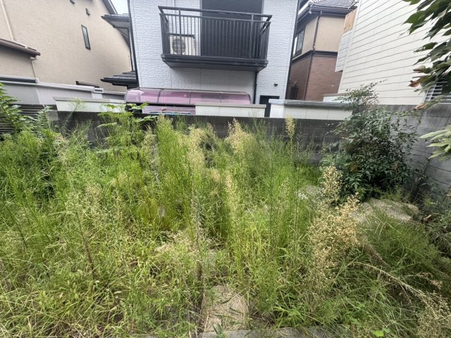 庭
