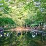 公園　馬橋公園（公園）まで1177m