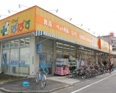 ドラックストア　どらっぐぱぱす町屋店（ドラッグストア）まで315m