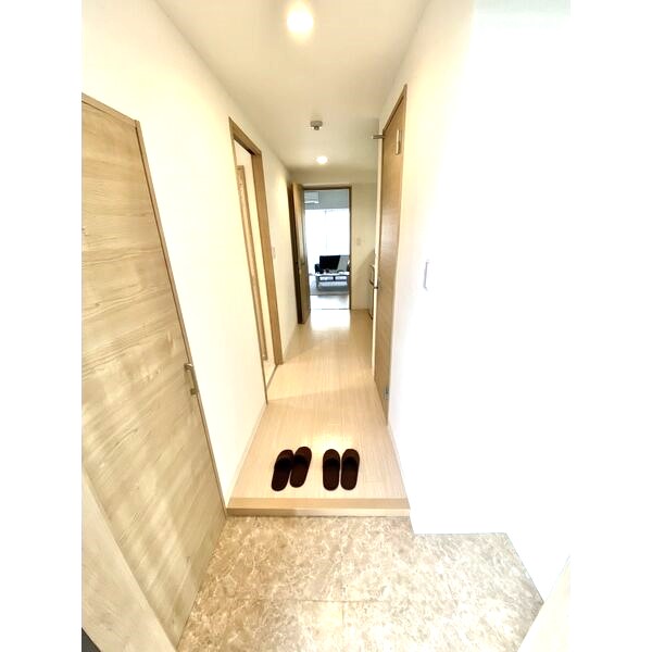 玄関　落ち着いた玄関