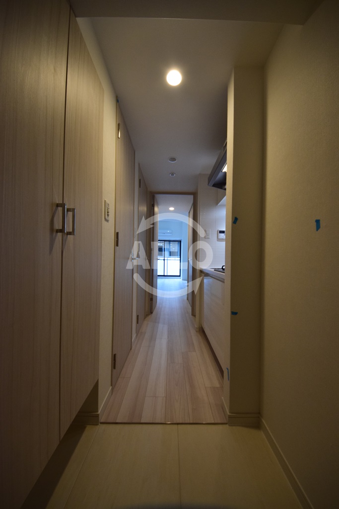 玄関　S-RESIDENCE阿波座WEST　玄関スペース