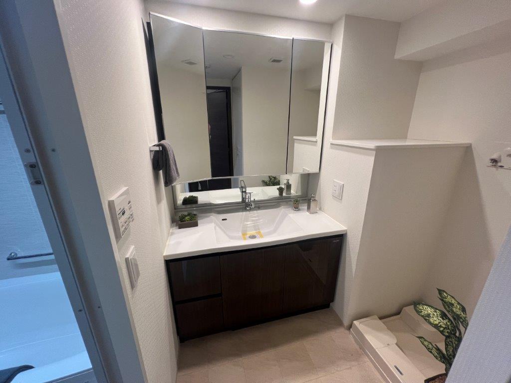 洗面設備　別部屋の写真です