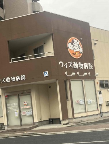 病院　ウィズ動物病院（病院）まで311m