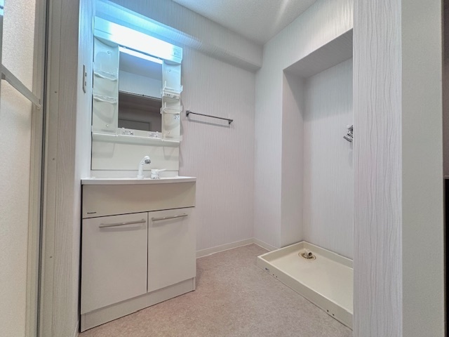 洗面設備　広めの洗面所