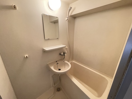 バス・シャワールーム　※別部屋の写真です