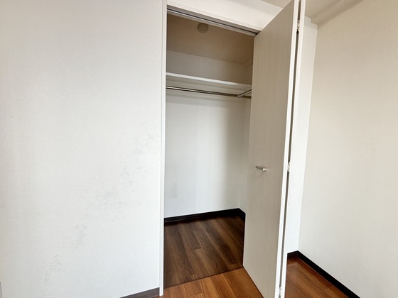 収納　ウォークインクローゼット