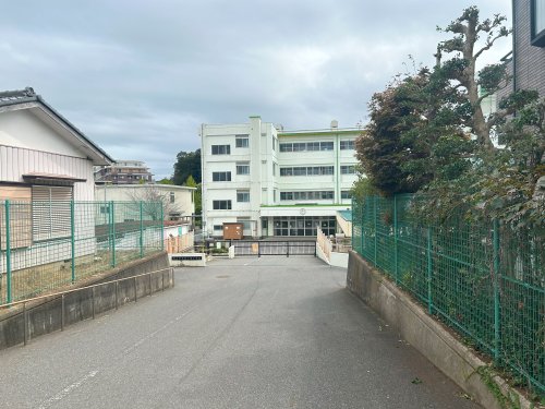 小学校　流山市立向小金小学校（小学校）まで537m