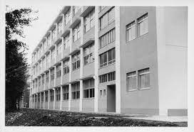 小学校　横浜市立白幡小学校（小学校）まで1780m