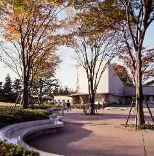 公園　東京都立砧公園（公園）まで555m