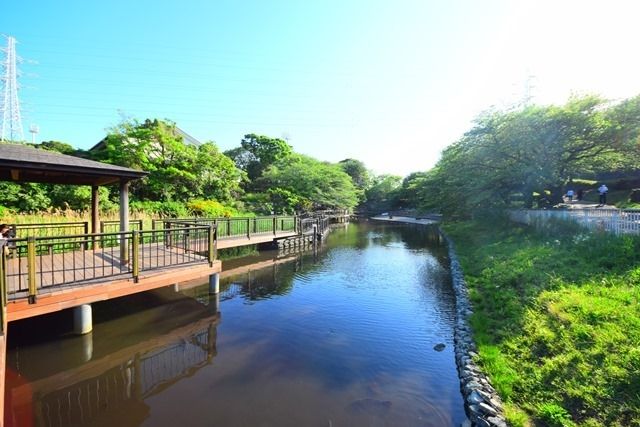 公園　岸根公園（公園）まで1000m