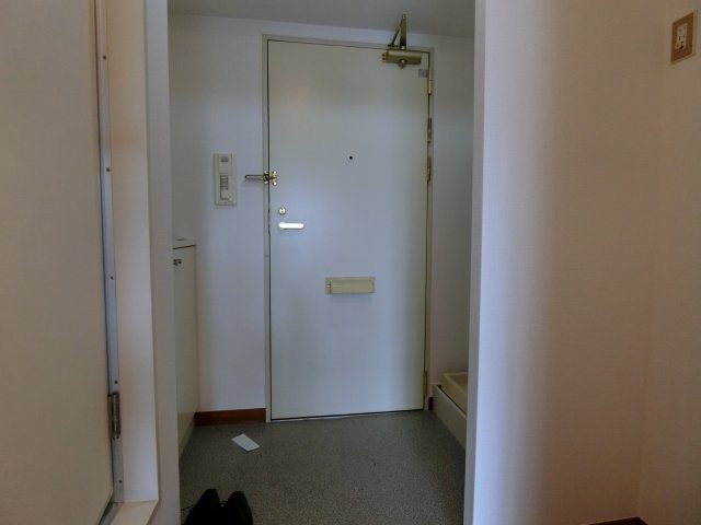 玄関　同物件内参考画像