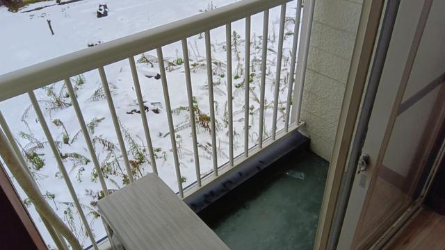 バルコニー　２０７の写真となります