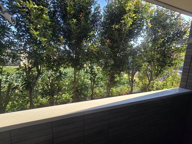 眺望　別部屋イメージ写真