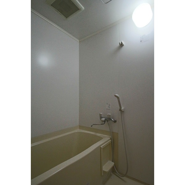 バス・シャワールーム　同じ建物の別なお部屋