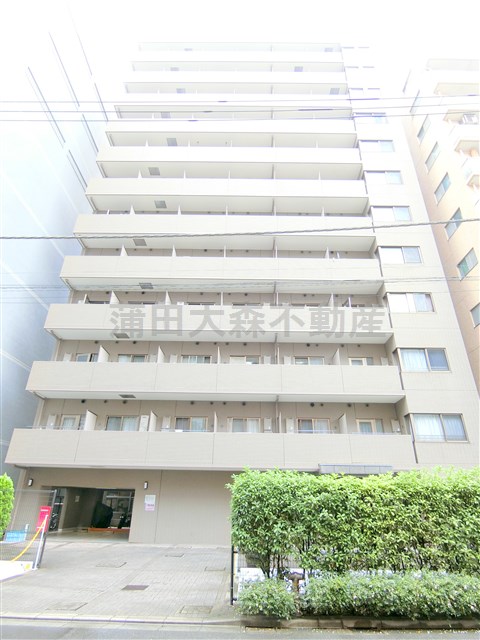 建物外観　2000年10月築　SRC鉄骨鉄筋コンクリート造地上13階建