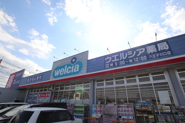 ドラックストア　ウエルシア八王子川口店（ドラッグストア）まで220m