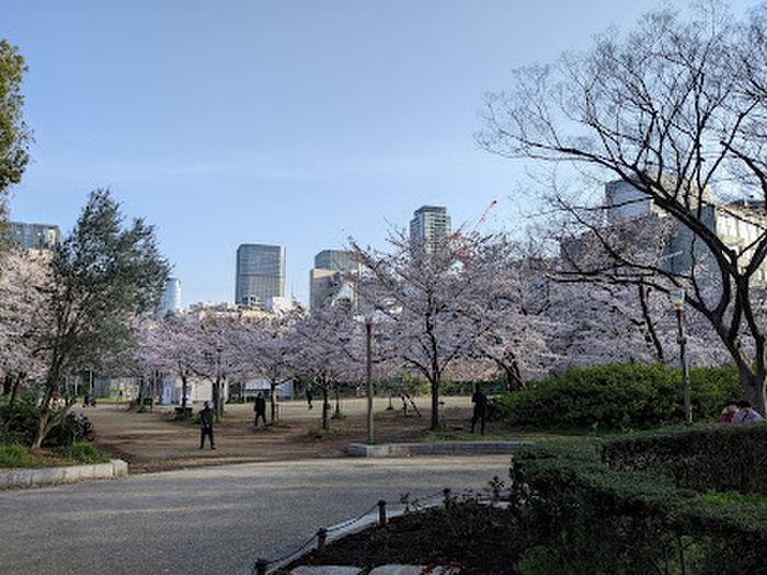 公園　靱公園（公園）まで300m