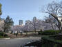 公園　靱公園（公園）まで300m