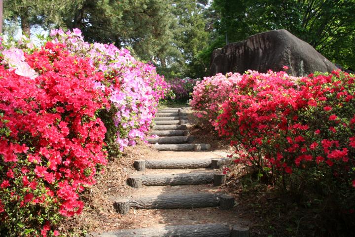 公園　石森山つつじ公園（公園）まで932m