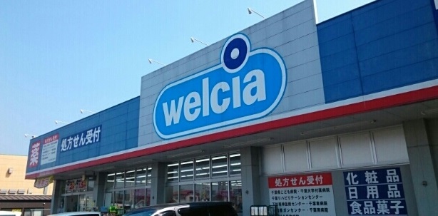 ドラックストア　ウェルシア薬局誉田店（ドラッグストア）まで1100m