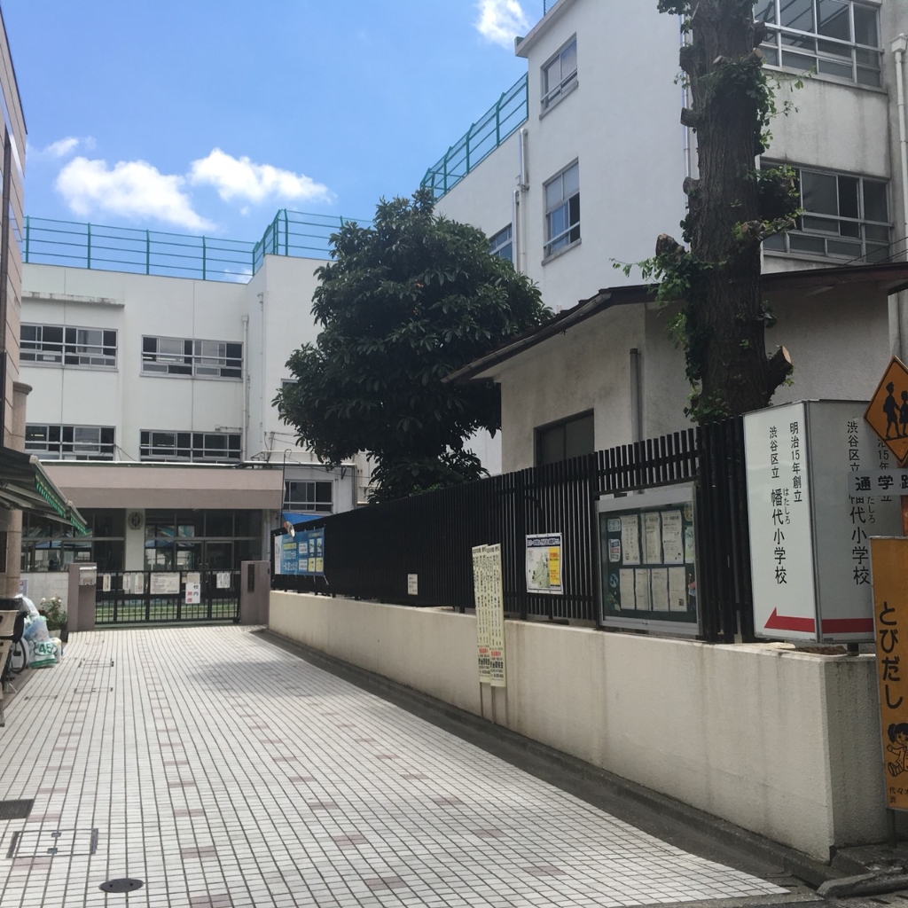小学校　渋谷区立幡代小学校（小学校）まで260m