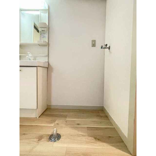 その他　洗濯機置場　別の部屋の参考画像（３０２）