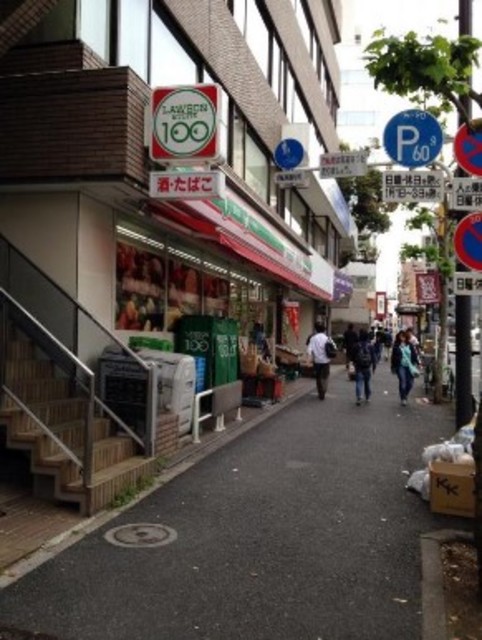 コンビニ　ローソンストア100新宿早稲田通店（コンビニ）まで377m
