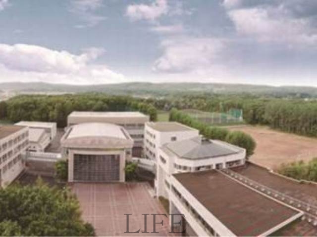 大学・短大　私立札幌国際大学短期大学部（大学・短大）まで1519m