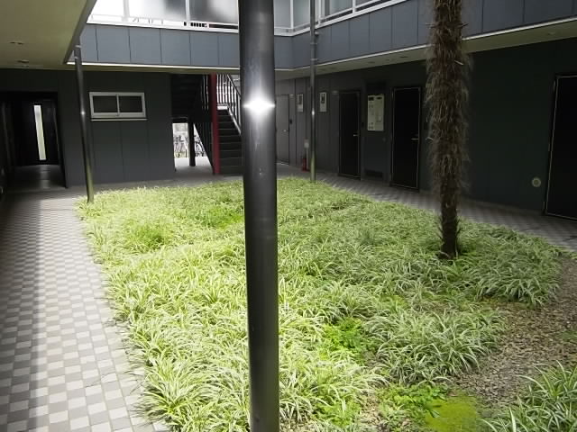庭