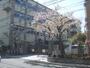 小学校　西院小学校（小学校）まで930m