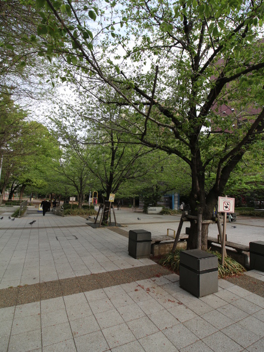 公園　桜川公園（公園）まで50m