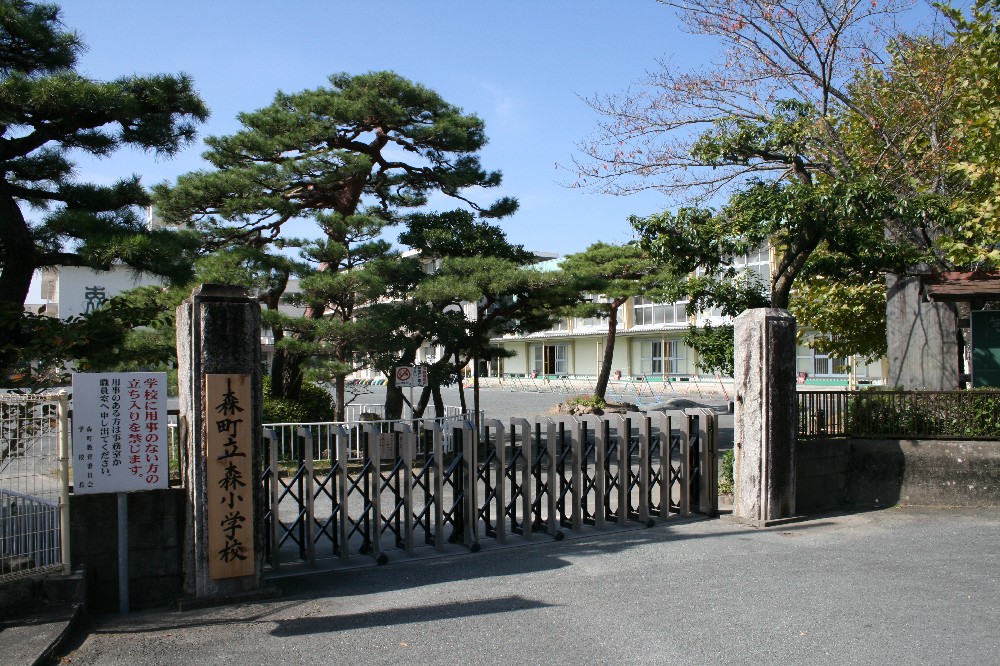 小学校　森町立森小学校（小学校）まで513m