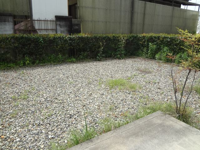 庭