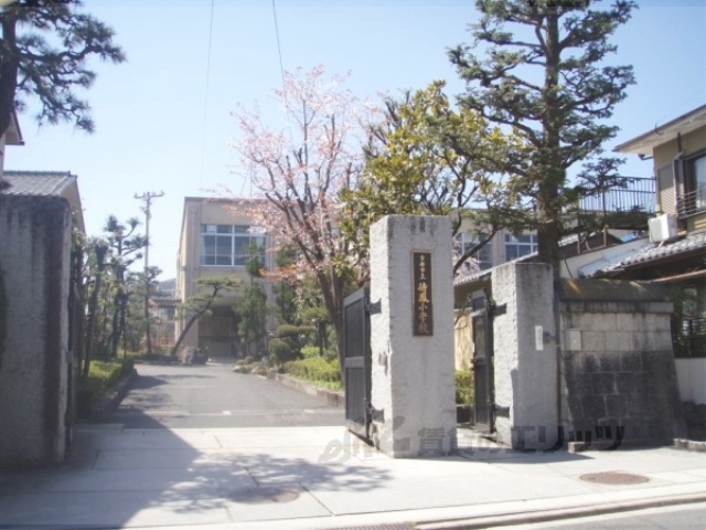 小学校　待鳳小学校（小学校）まで230m