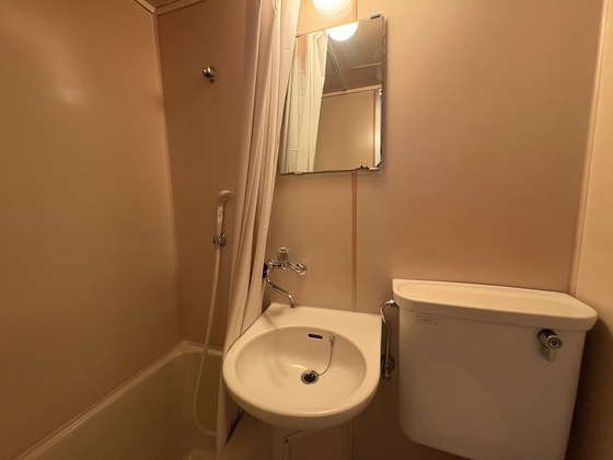 洗面設備　※別部屋の写真です