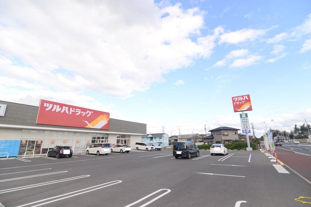 ドラックストア　ツルハドラッグ水戸元吉田東店（ドラッグストア）まで380m