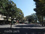 公園　野川第4公園（公園）まで169m