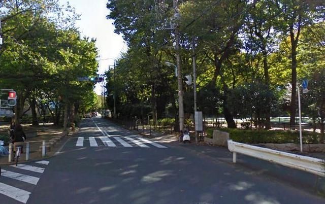公園　都立城北公園（公園）まで35m