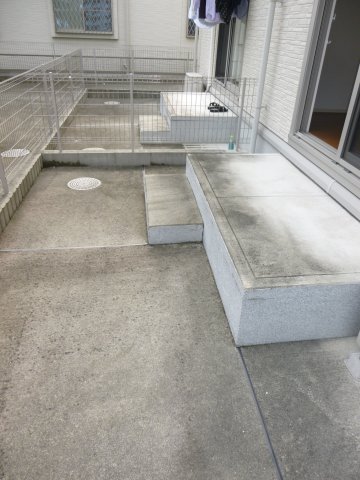 庭