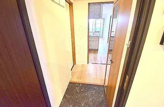 玄関　※同建物の別のお部屋の写真です。