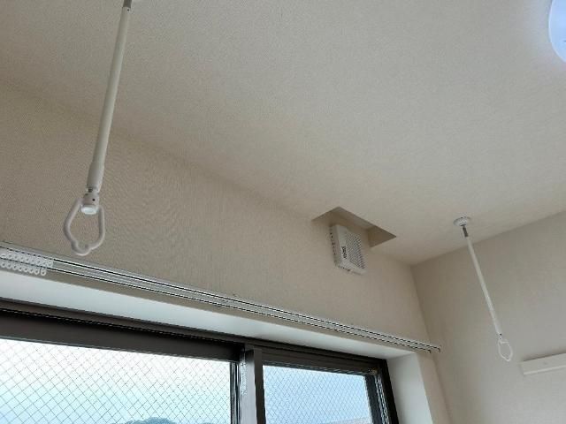 フルリールのその他写真