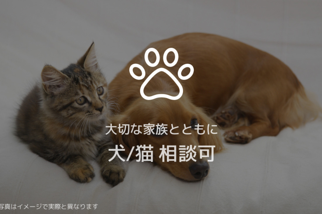 その他　※写真はイメージで実際と異なります。