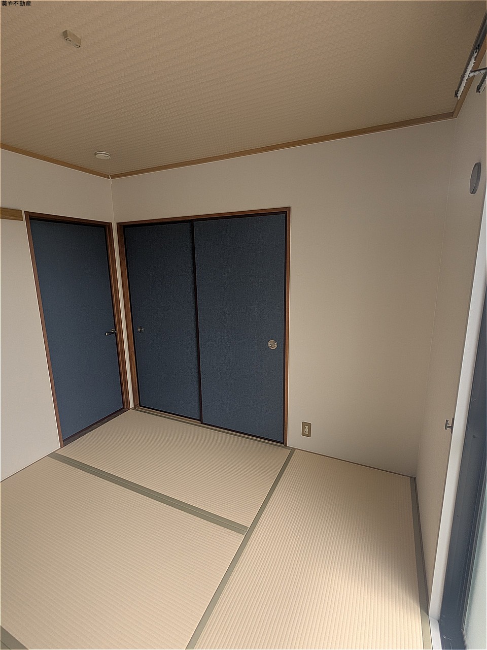 グリーンハウスの内装写真