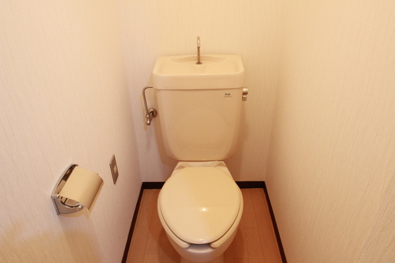 広島電鉄宇品線 市役所前駅 徒歩5分 10階建 築42年のトイレ写真