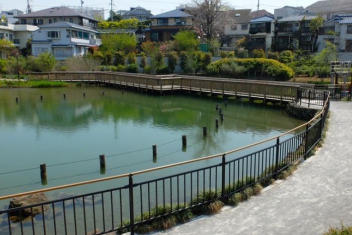 公園　小池公園（公園）まで800m